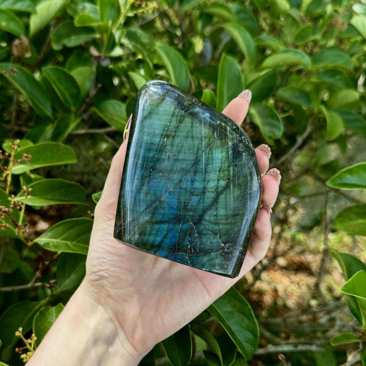 Labradorite Free Form