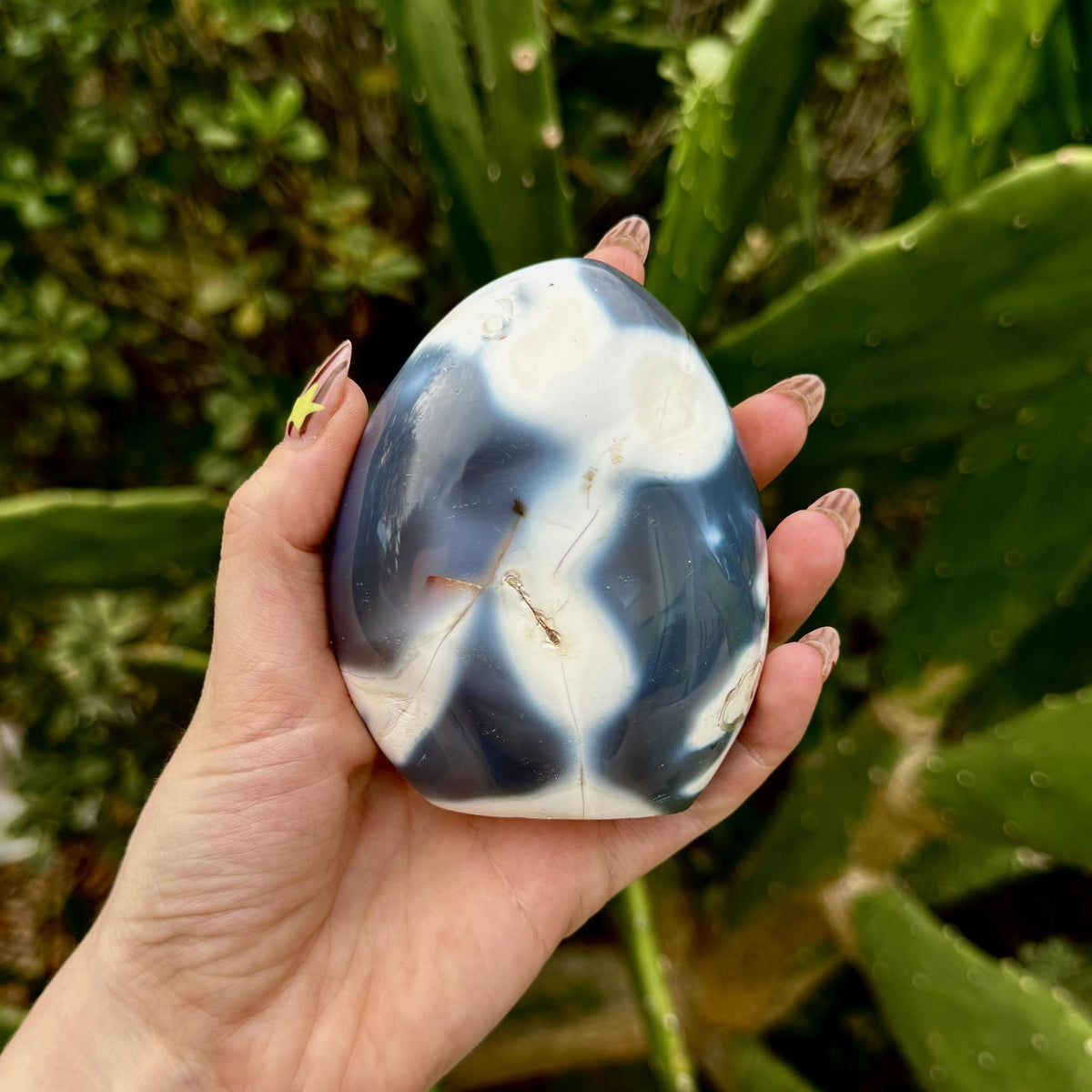 Orca Agate Free Form