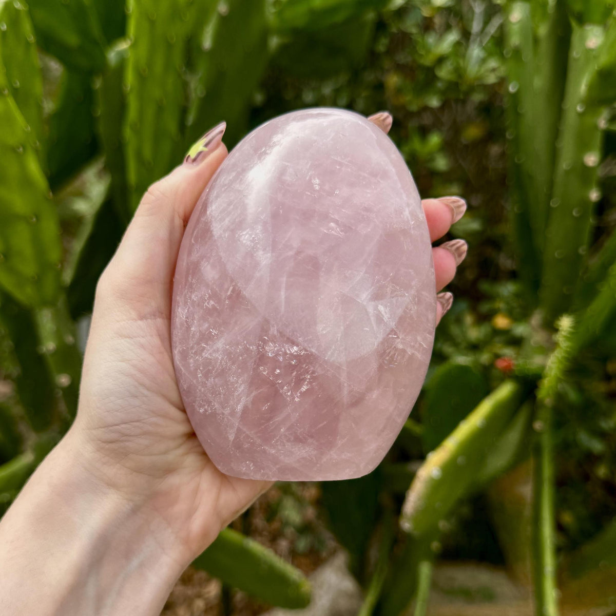 Rose Quartz Free Form
