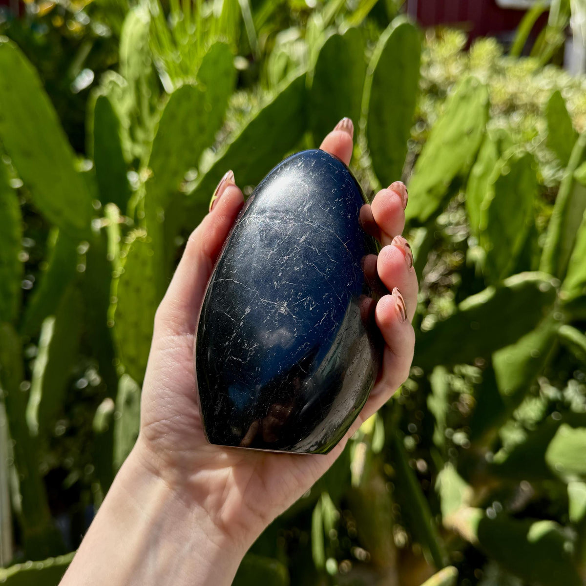 Black Tourmaline Free Form