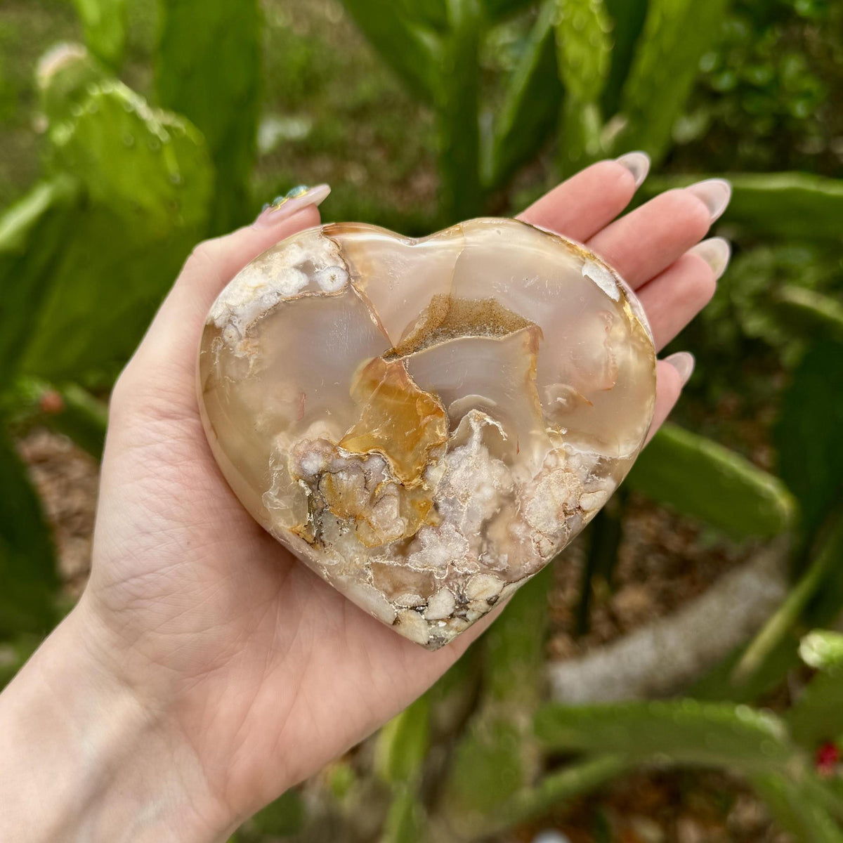 Flower Agate Heart