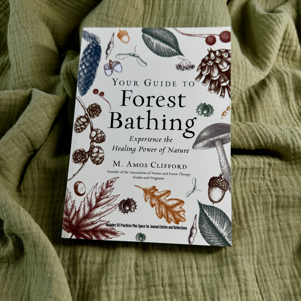 Your Guide To Forest Bathing