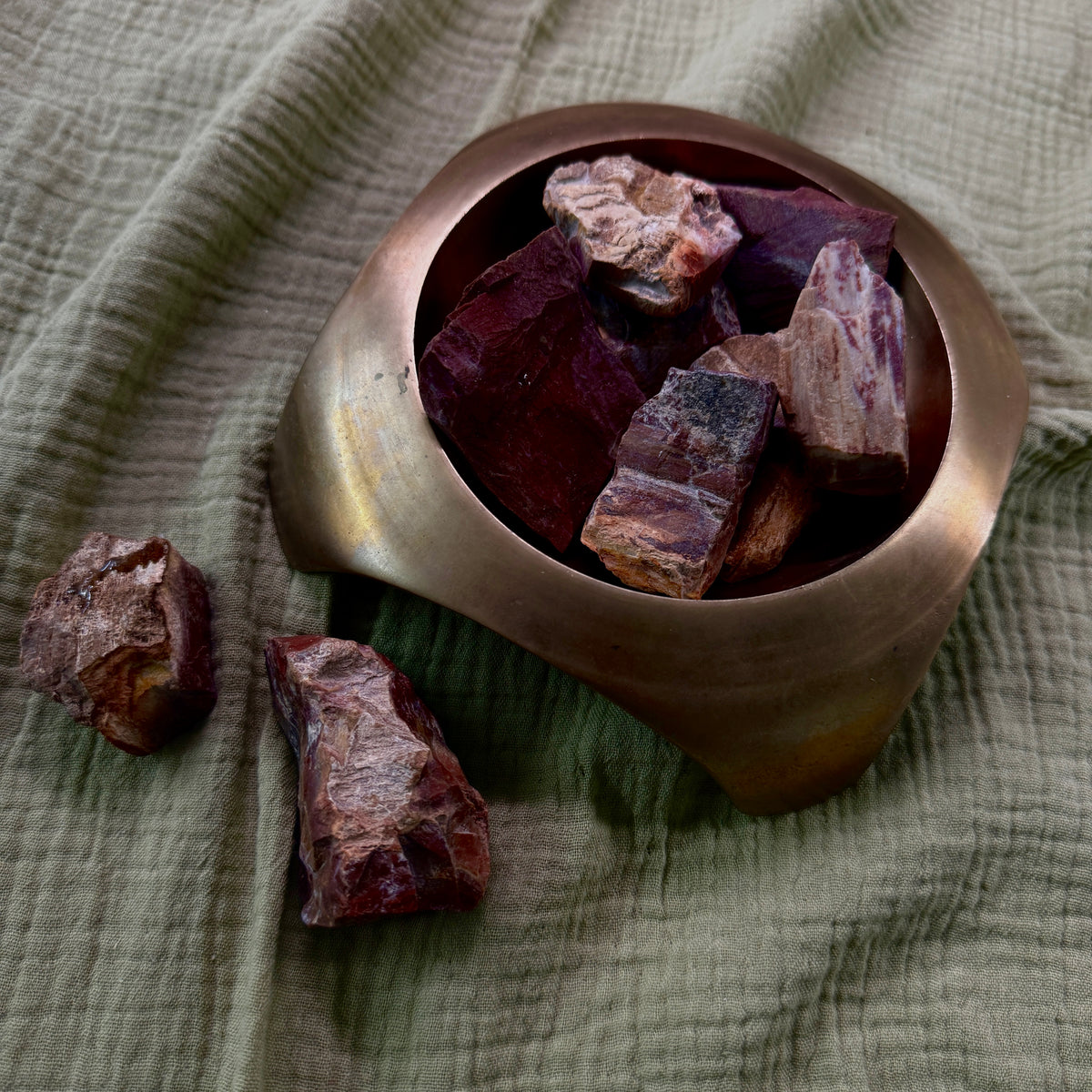 Petrified Wood Chunk