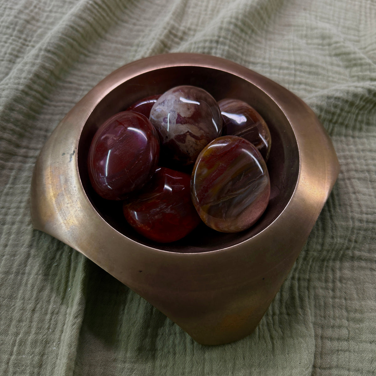 Petrified Wood Palm Stone