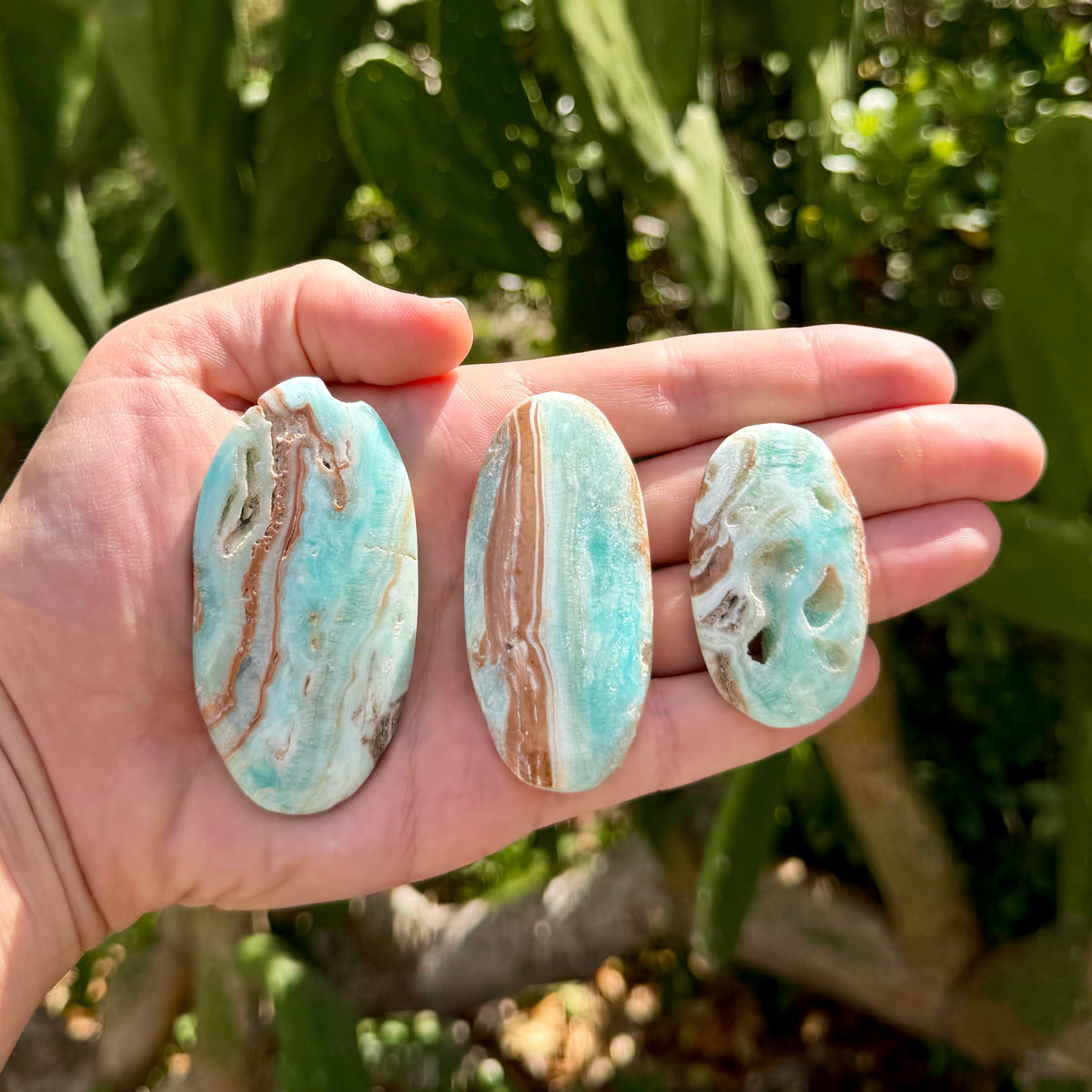 Caribbean Calcite Palm Stone Intuitively Chosen