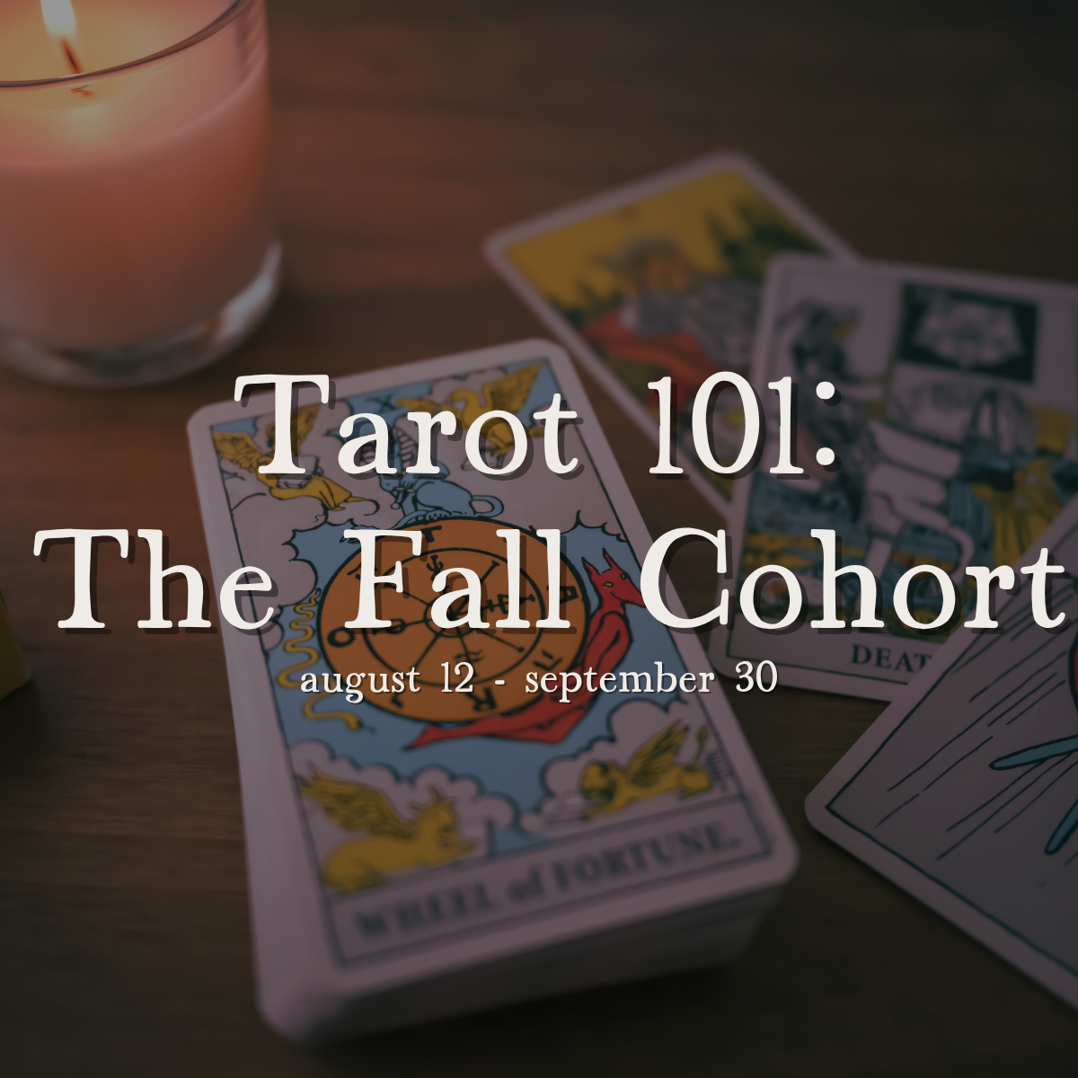 Tarot 101: The Fall 2026 Cohort