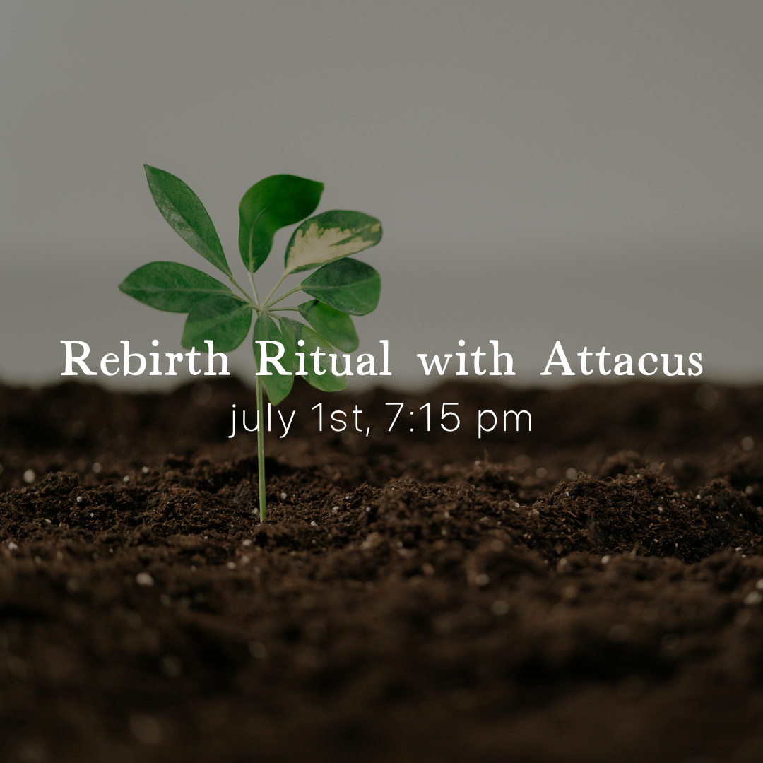 A small green seedling sprouts from dark soil with "Rebirth Ritual with Attacus, July 1st 7:15 PM" by Spellcrafter overlaid, evoking renewal and transformation through this unique ceremony.