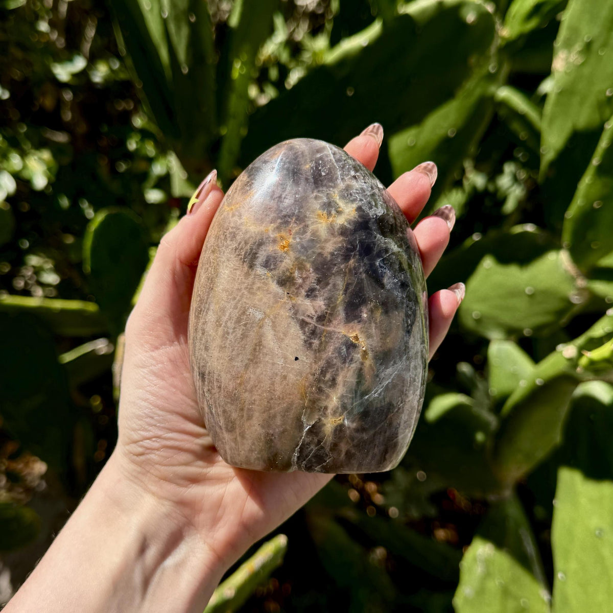 Black Moonstone Free Form .69kg