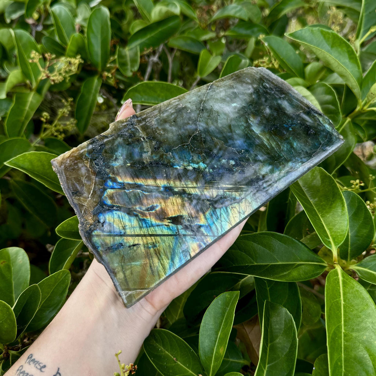Labradorite Slab