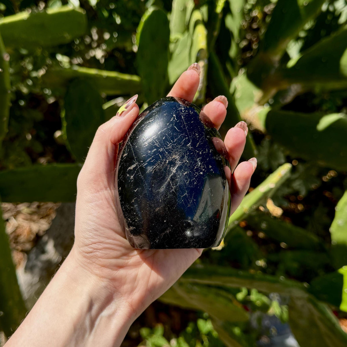 Black Tourmaline Free Form