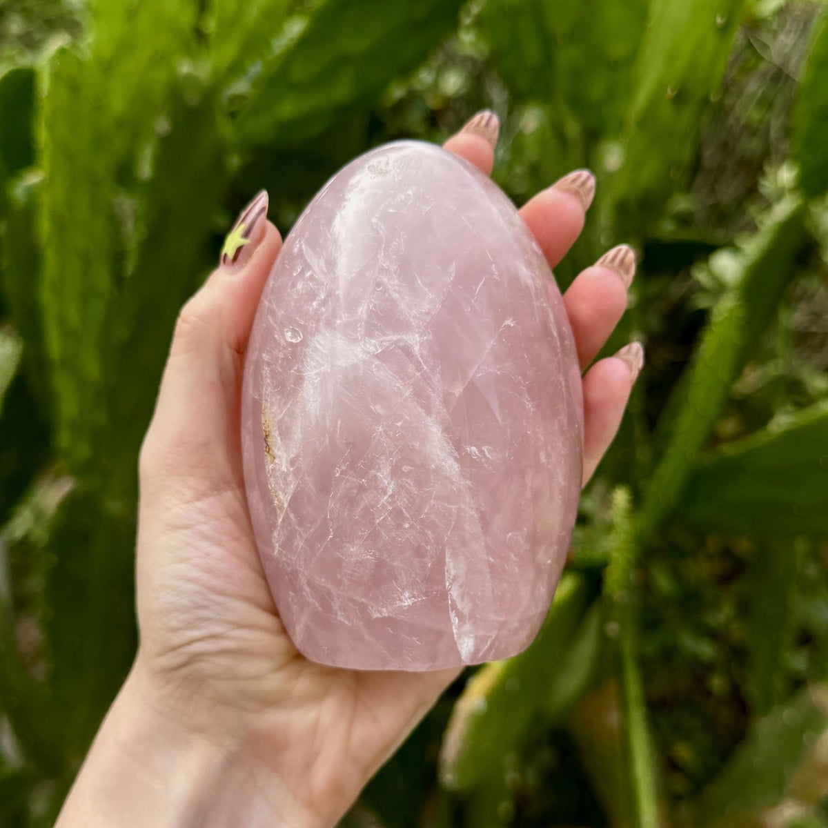 Rose Quartz Free Form