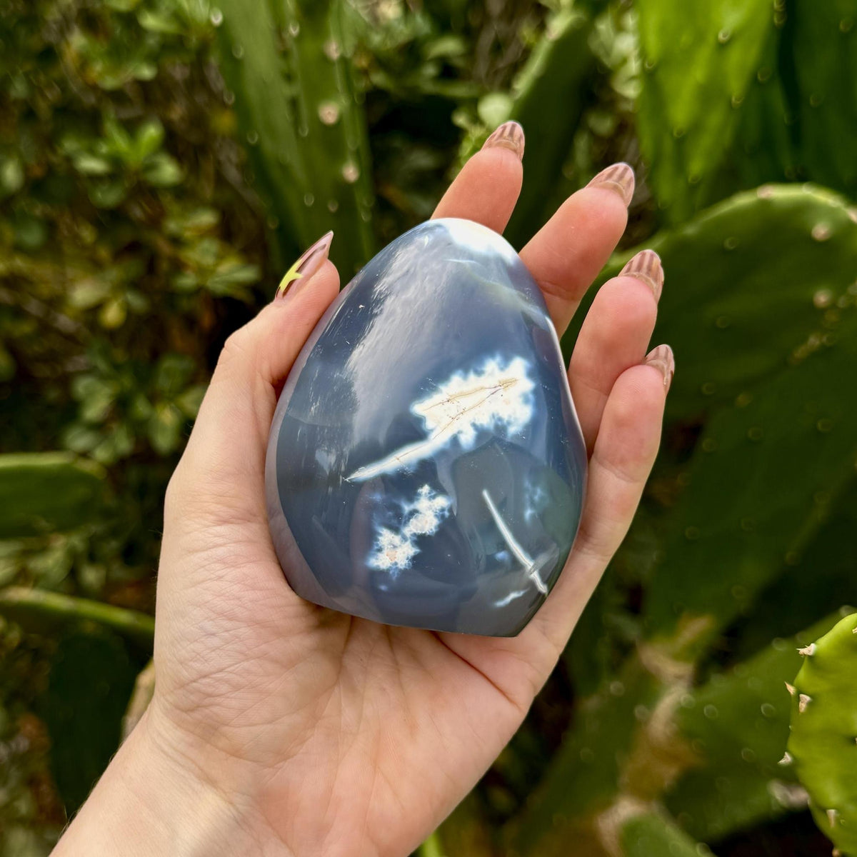 Orca Agate Free Form