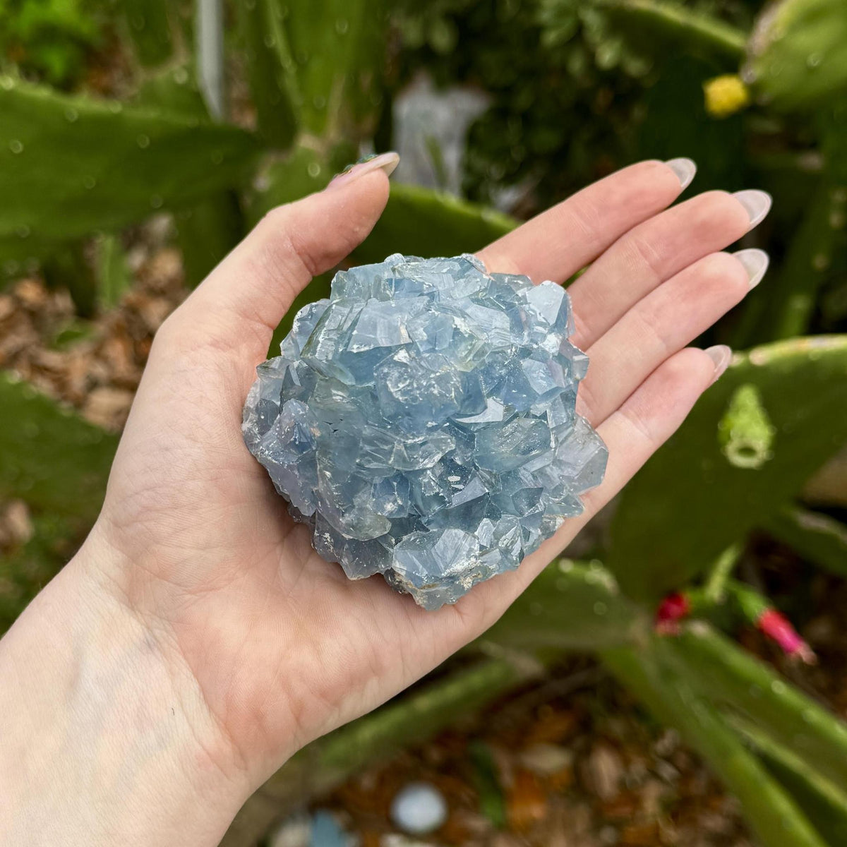 Celestite Chunk