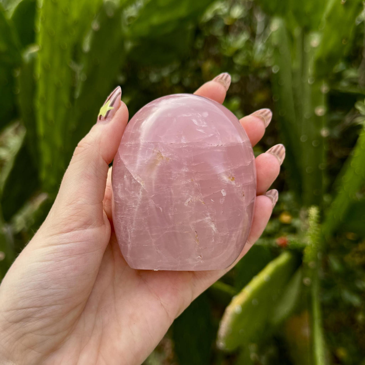 Rose Quartz Free Form