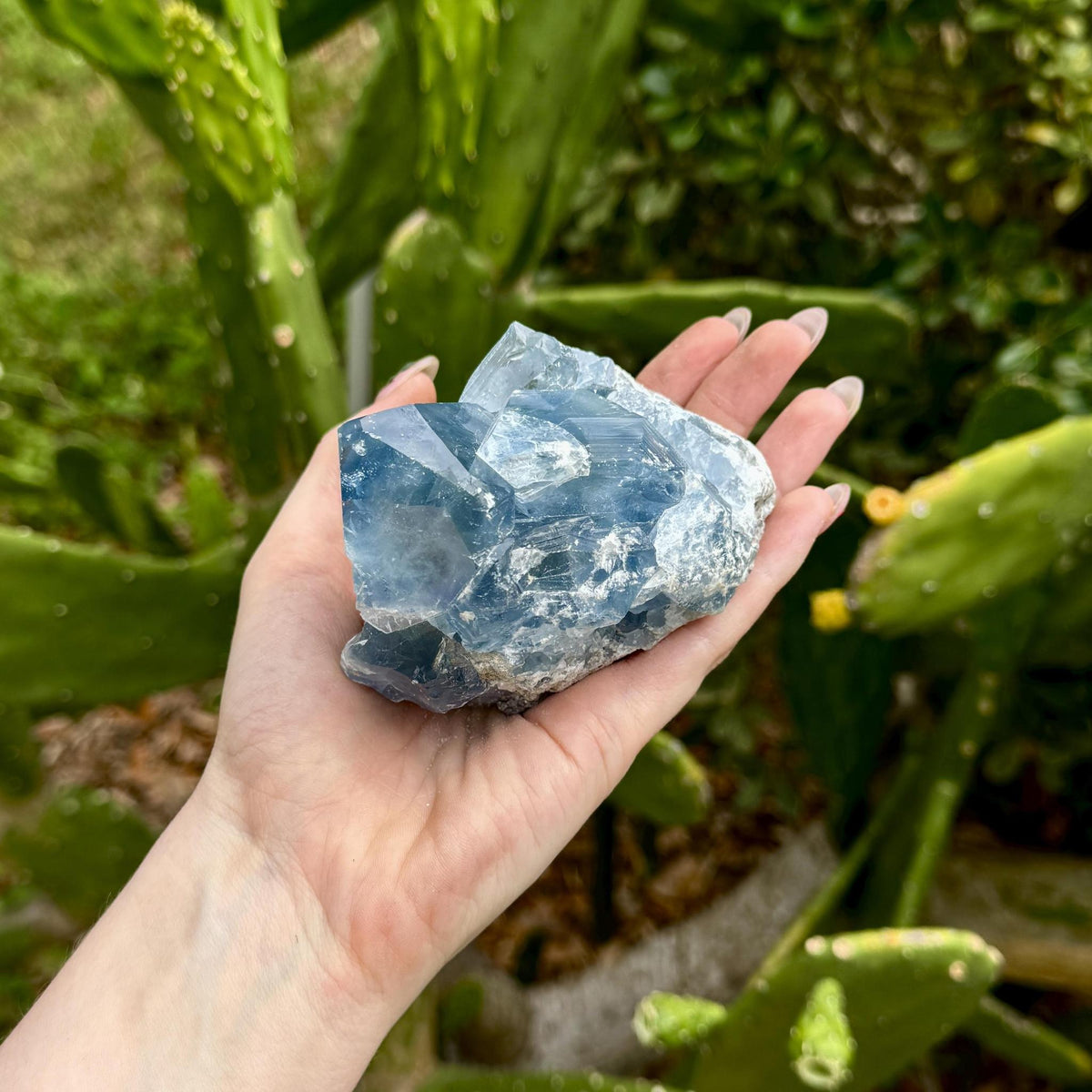 Celestite Chunk