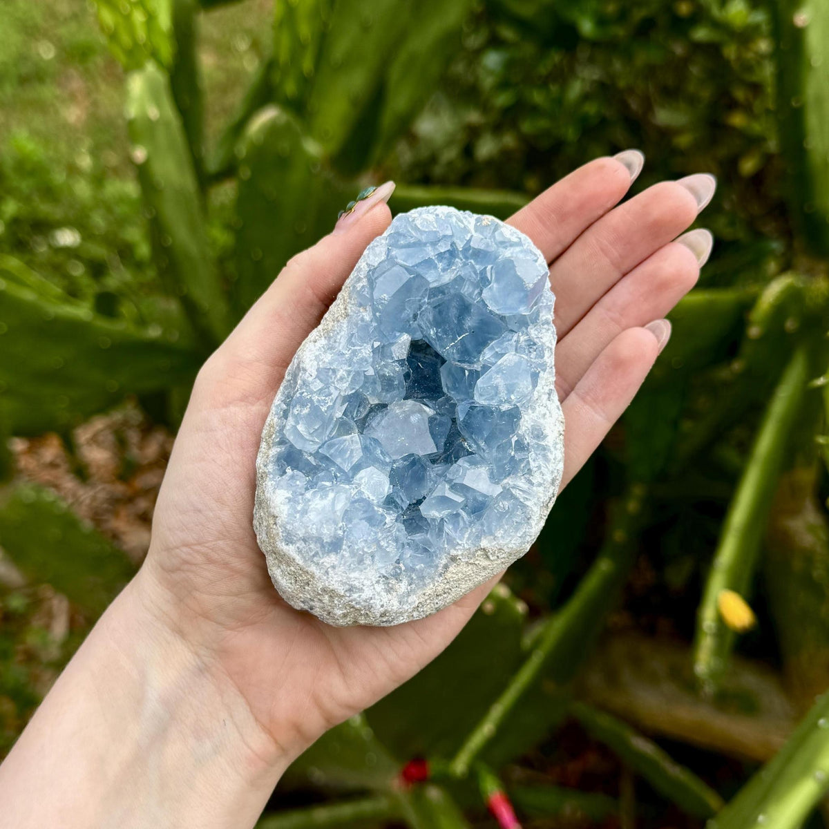 Celestite Chunk
