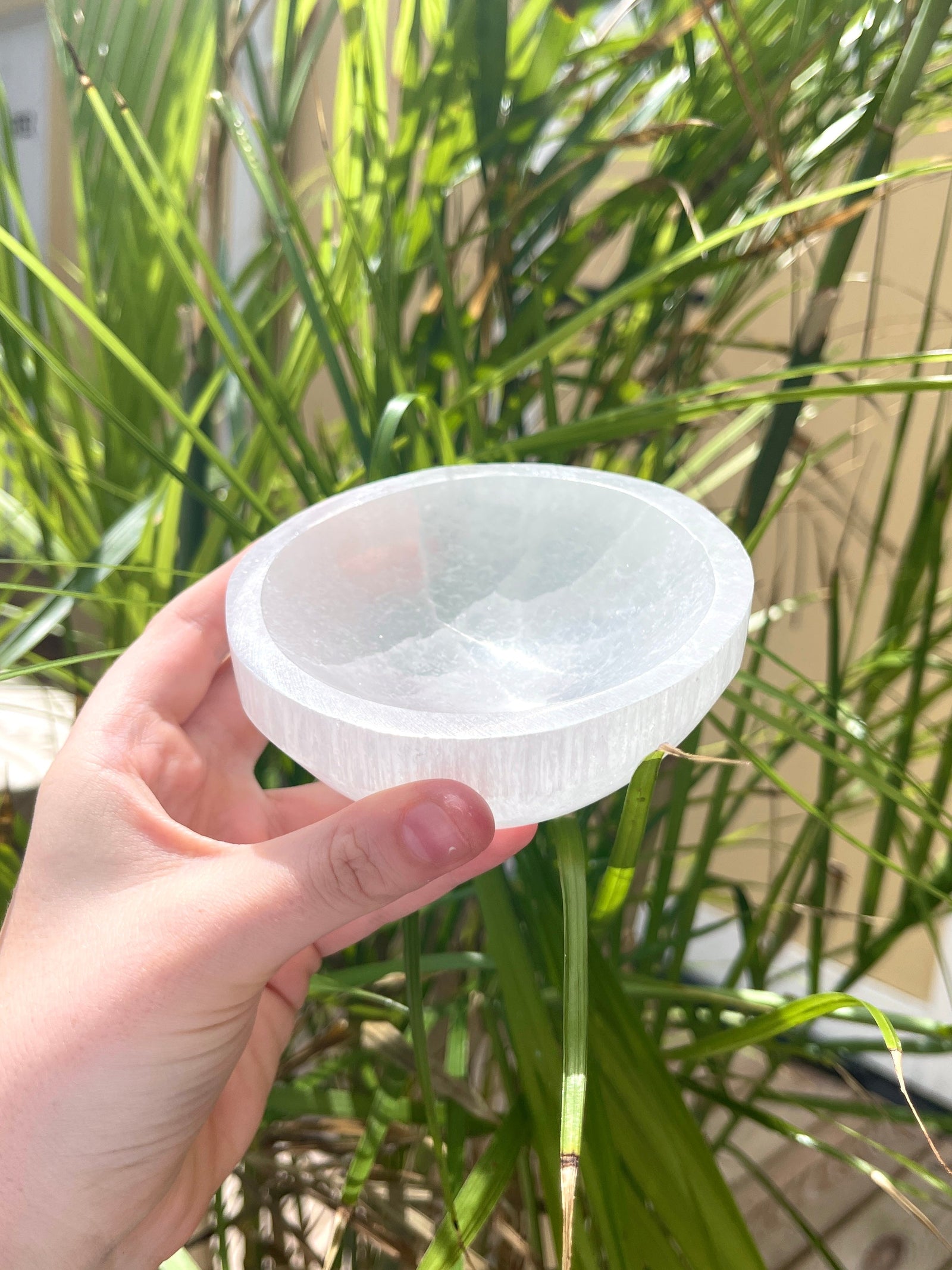 A hand holds the Spellcrafter Medium Selenite Bowl outdoors amid green plants and sunlight,...