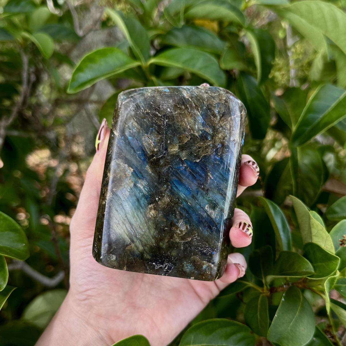 Labradorite Free Form