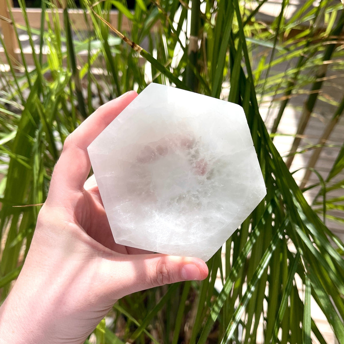 A hand holds the Spellcrafter Hexagon Selenite Bowl—a large, translucent white crystal bowl ideal for charging crystals—set against tall green plants in bright sunlight.