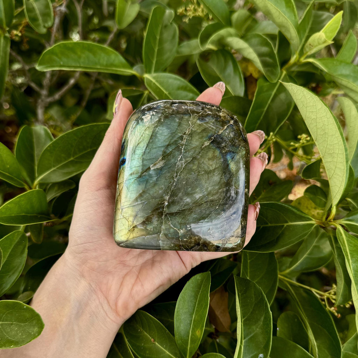 Labradorite Free Form