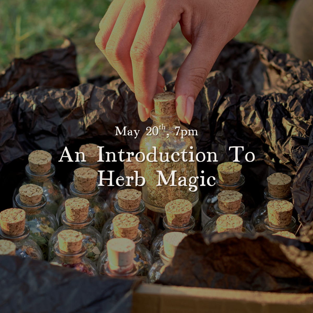 An Introduction to Herb Magic, May 20th 7PM