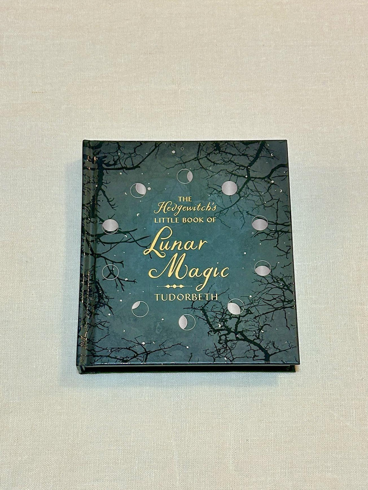 The Hedgewitch's Little Book of