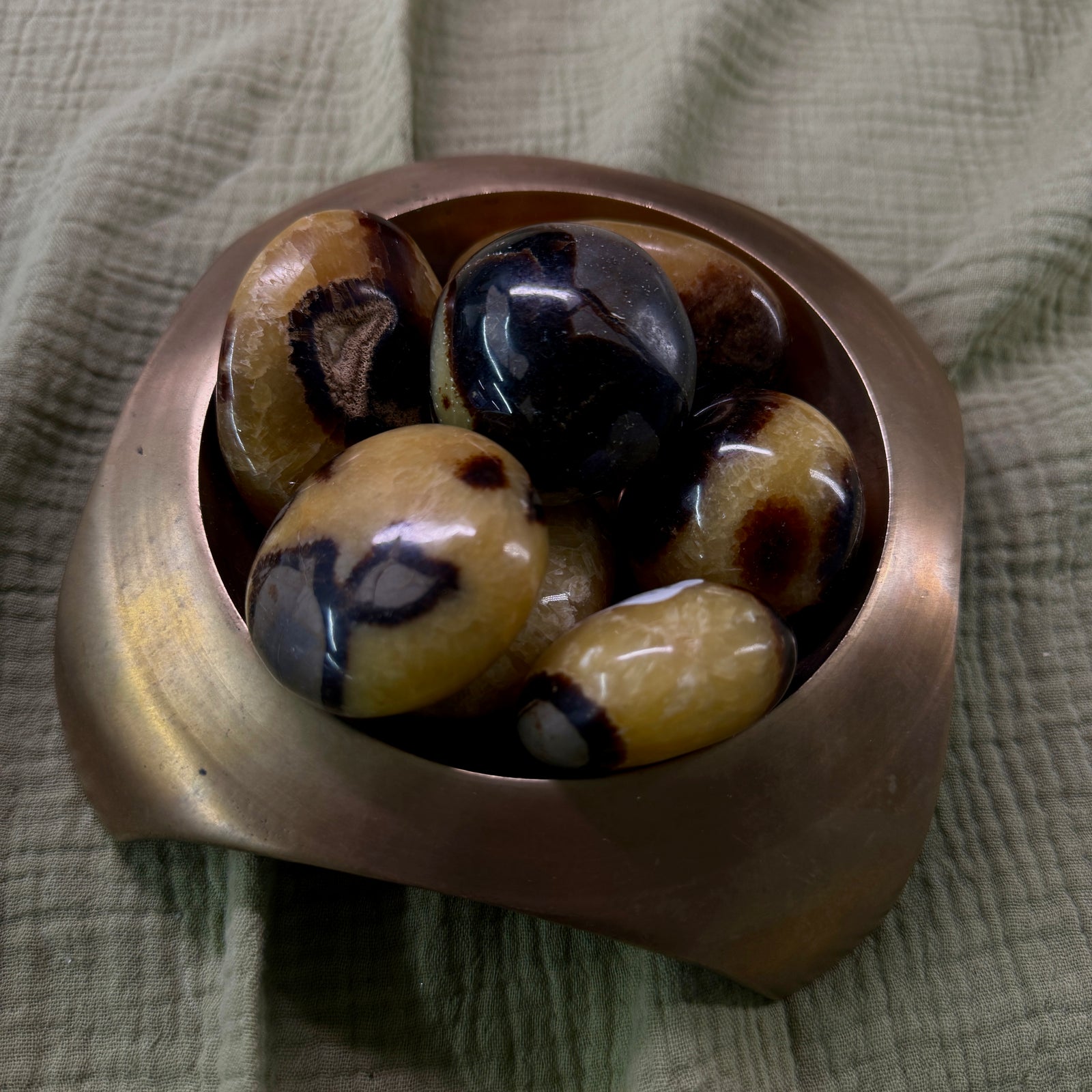 Septarian Palm Stone