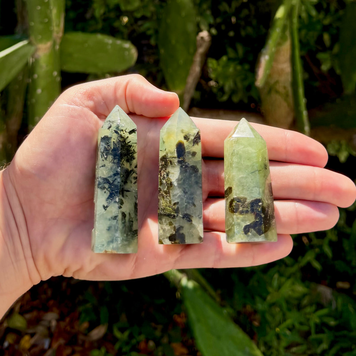 Three prehnite tower crystals held in an open palm, each a pale translucent green hexagonal point with dark mineral inclusions, shown against a background of green cactus and foliage.