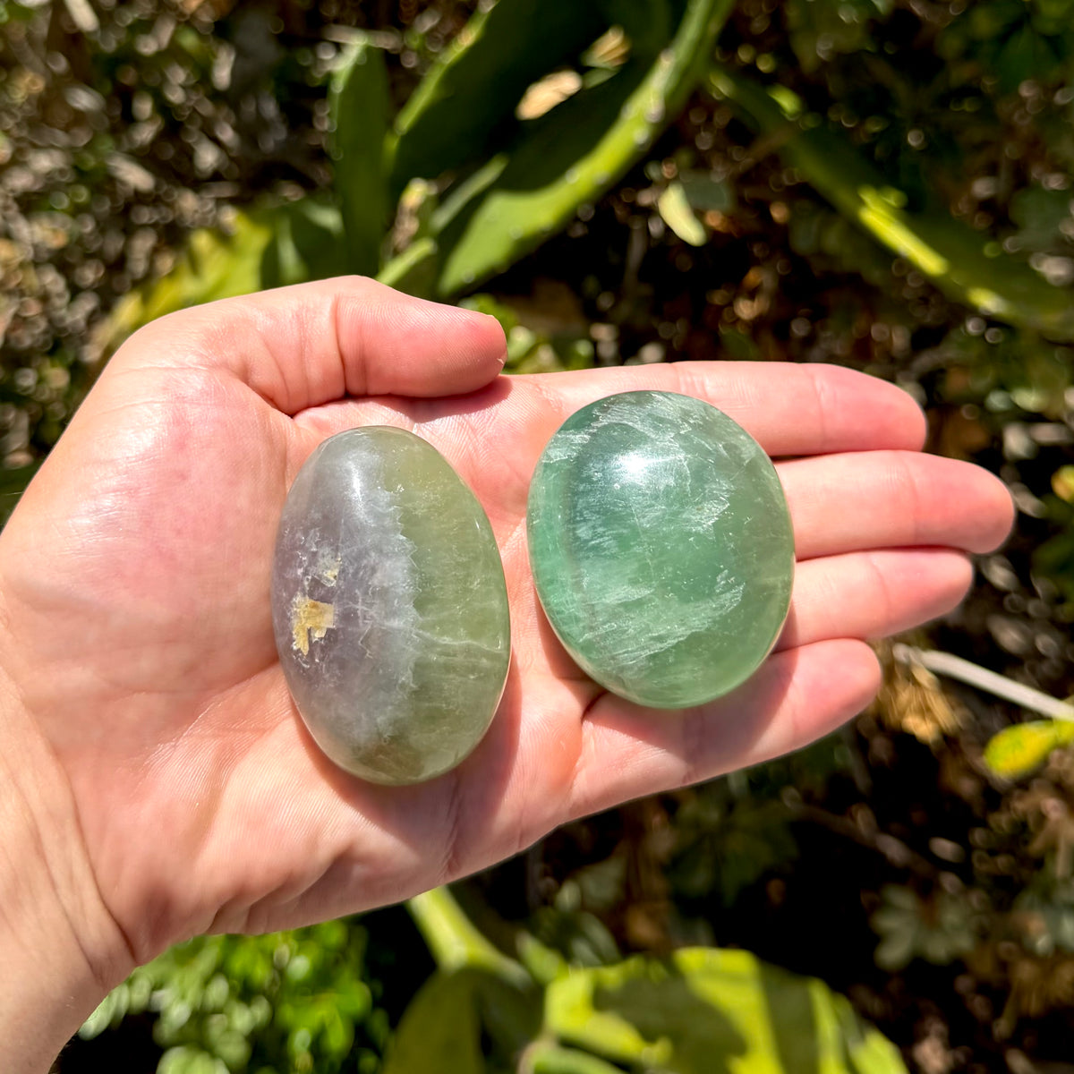 Two polished oval fluorite palm stones resting in an open palm against blurred green foliage outdoors. The left stone is grayish-green with a small tan inclusion, and the right stone is a brighter translucent green with visible internal banding and a glossy highlight.