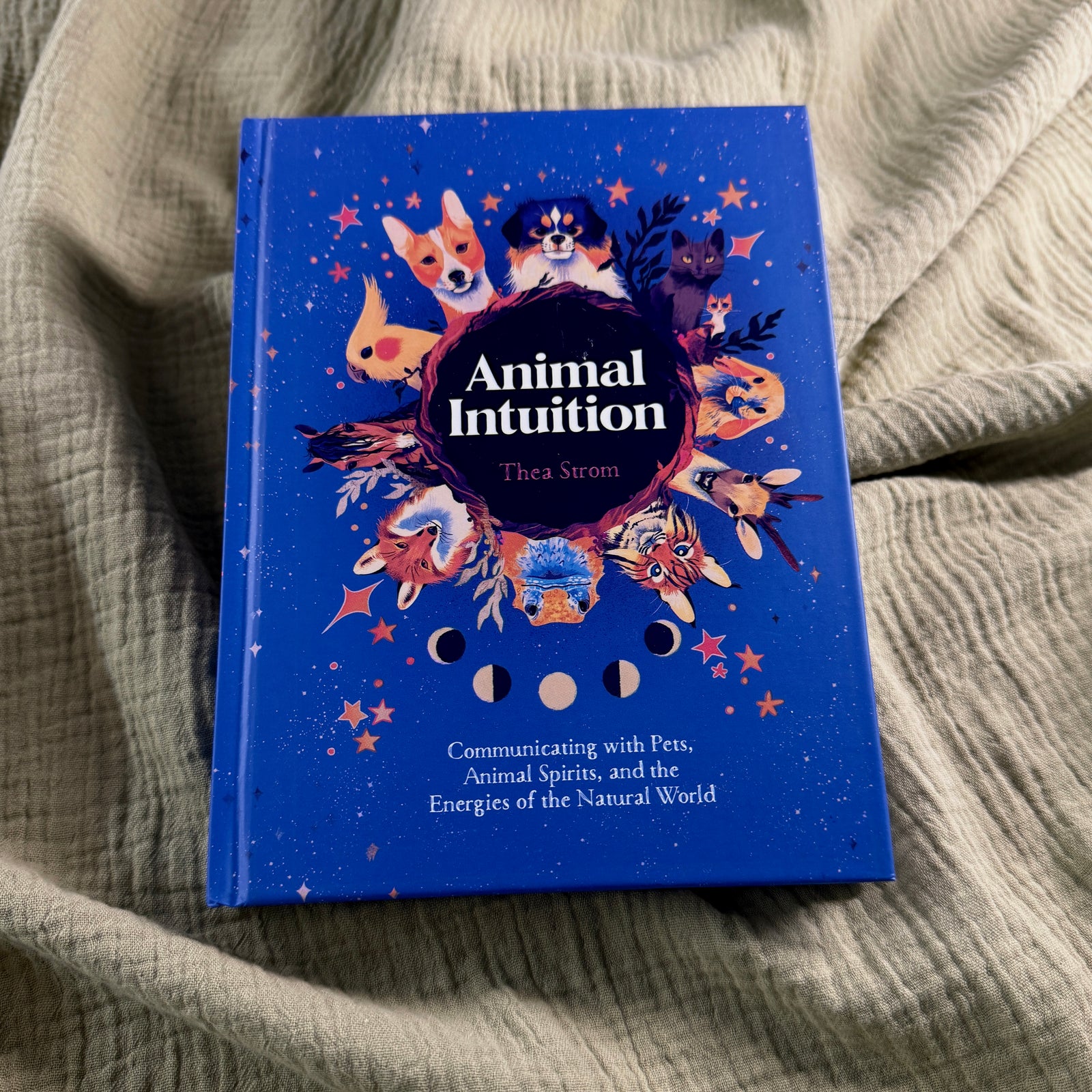 Animal Intuition: Communicating with Pets, Spirits & Energy