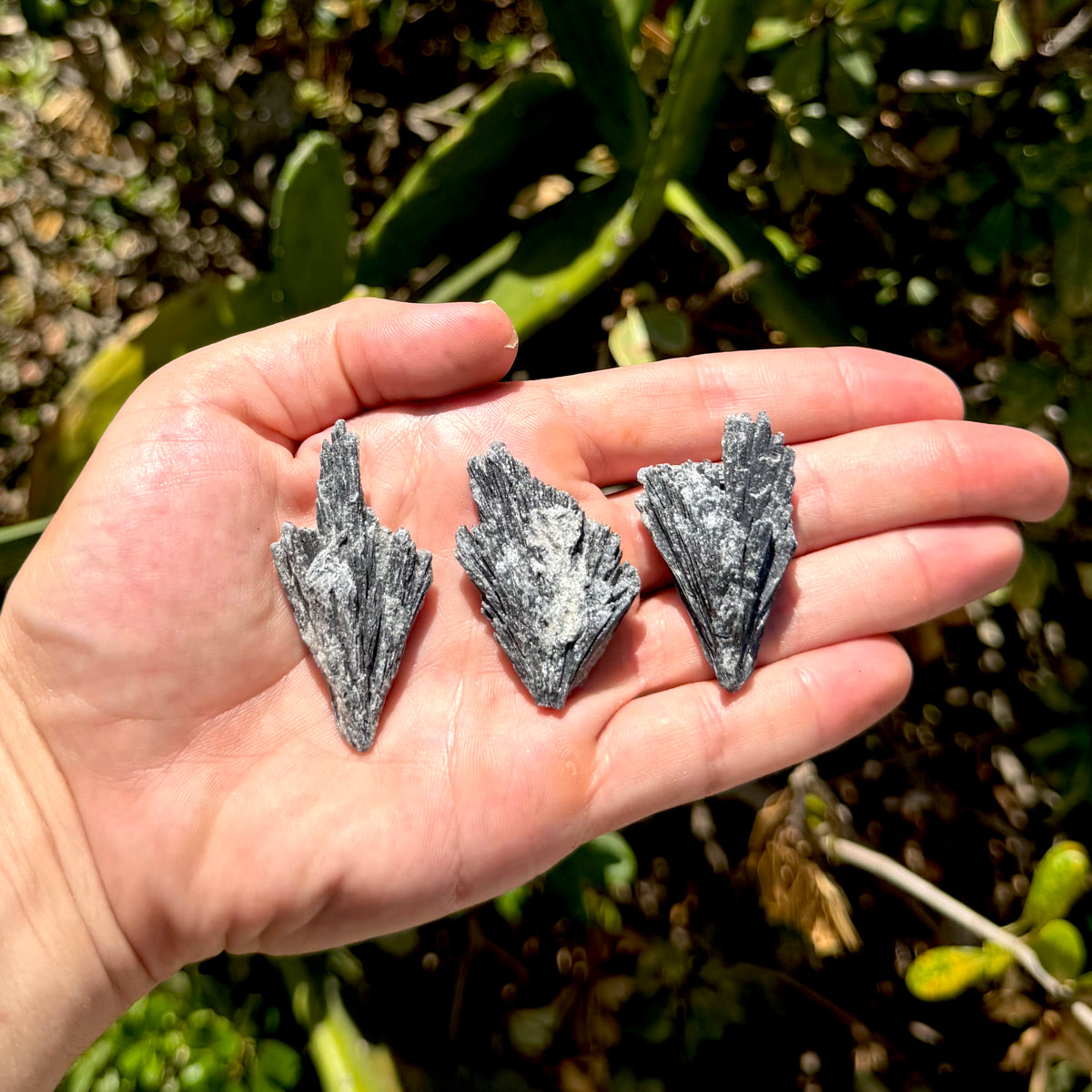 Black Kyanite Fan