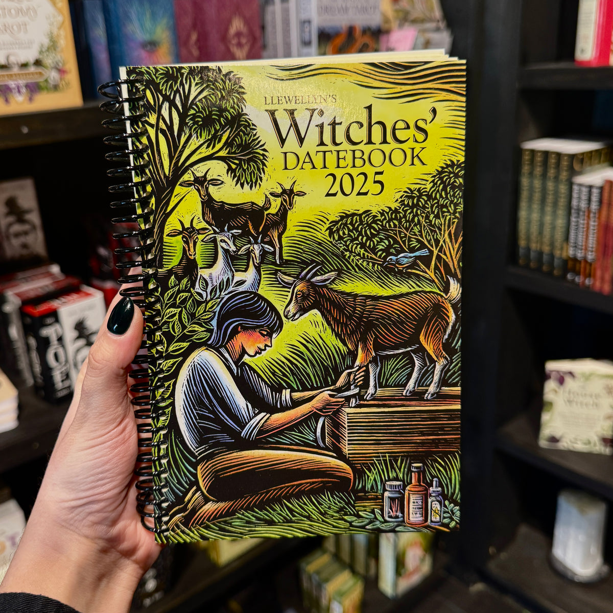 Llewellyn&#39;s 2025 Witches&#39; Datebook