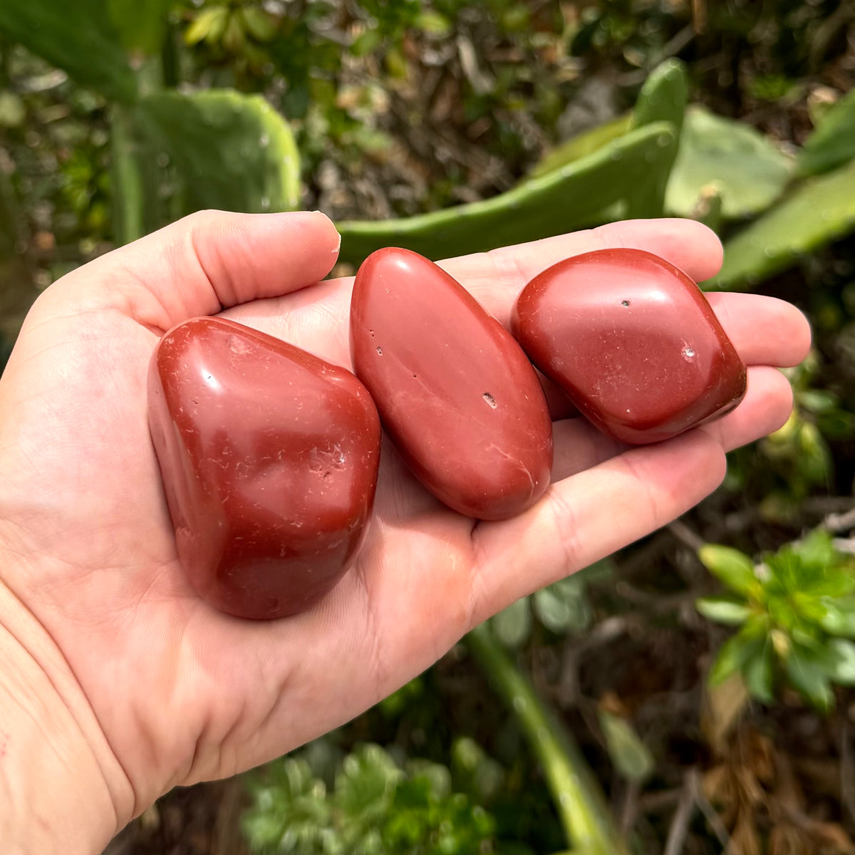 Red Jasper Palm Stone