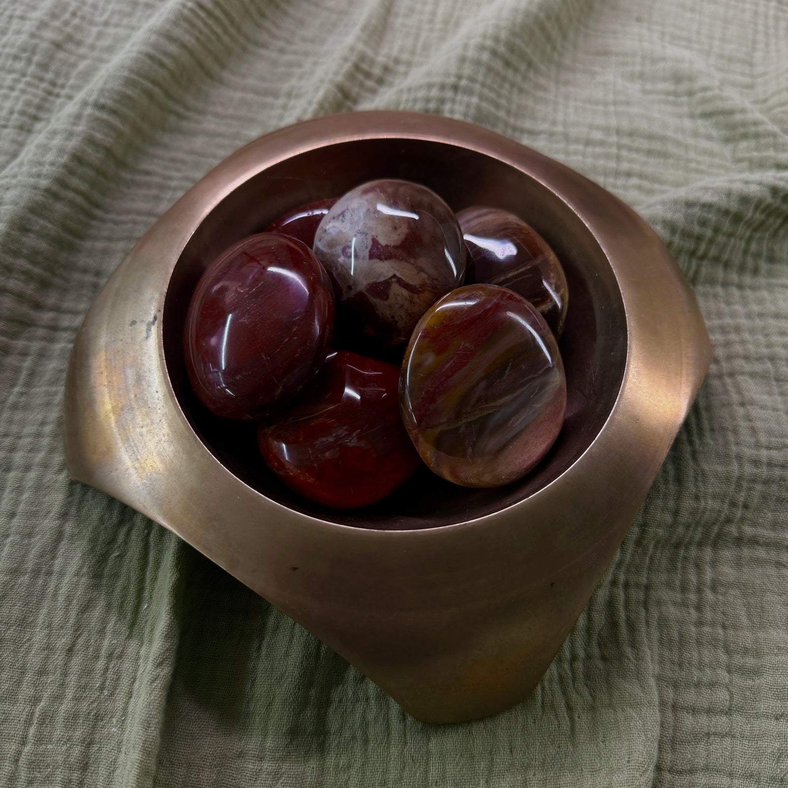 Petrified Wood Palm Stone