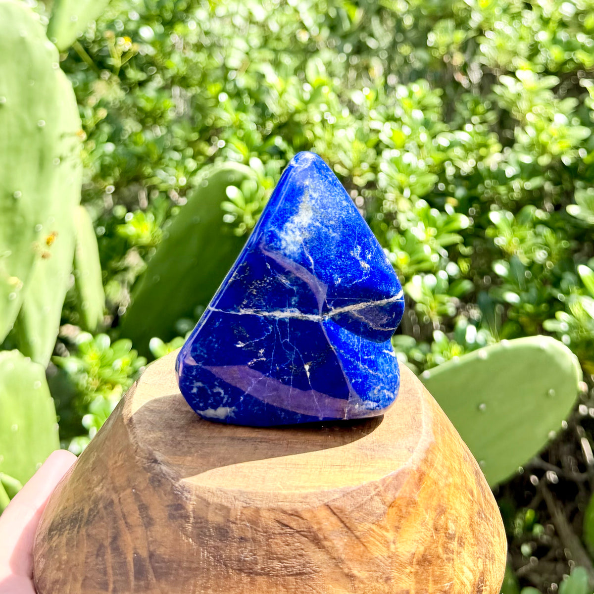 Lapis Lazuli Freeform