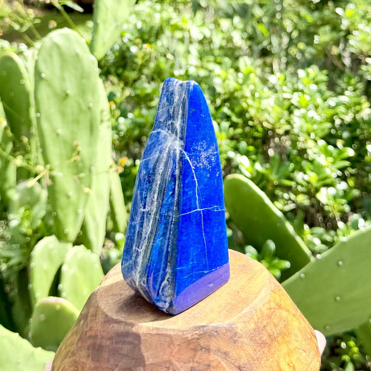 Lapis Lazuli Freeform