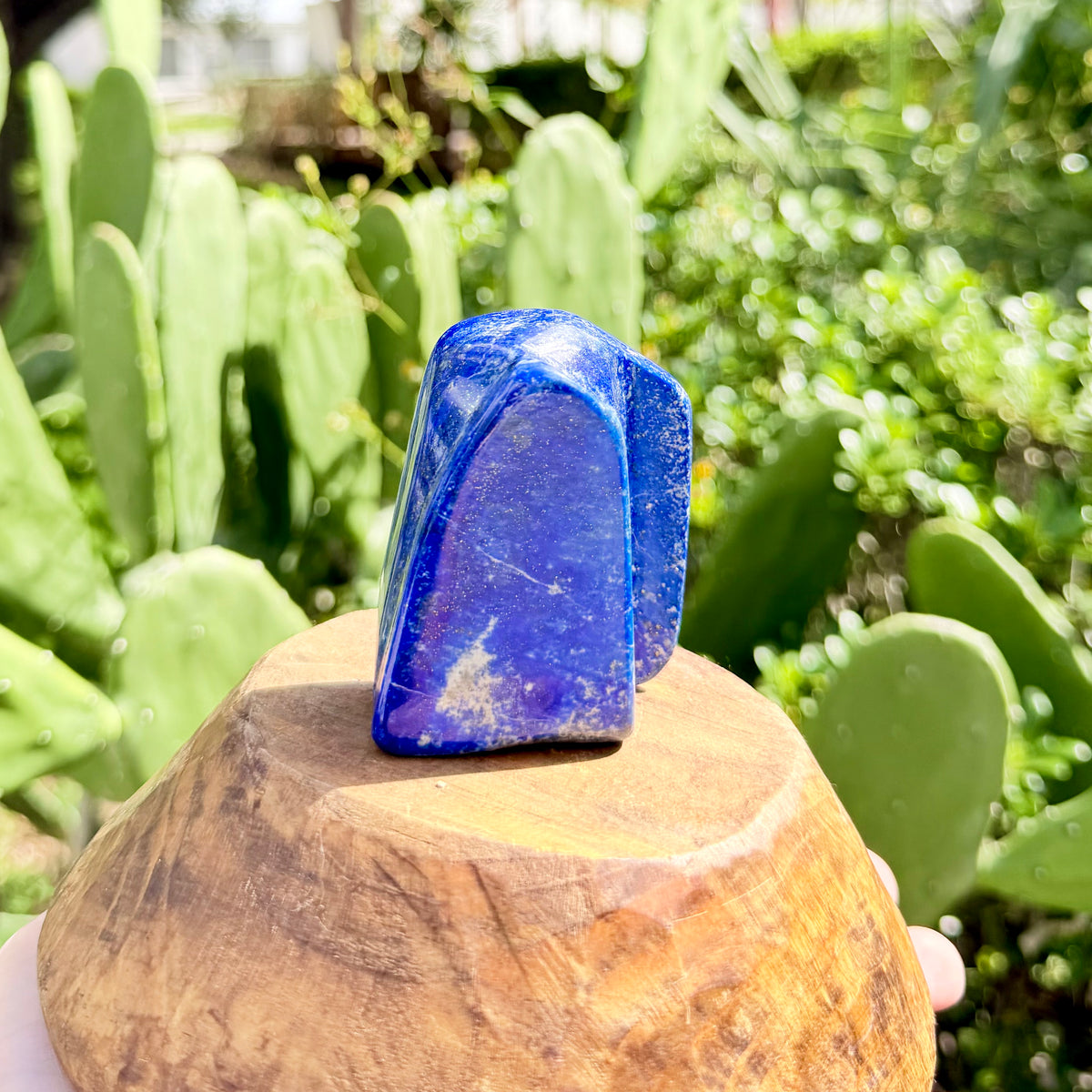 Lapis Lazuli Freeform