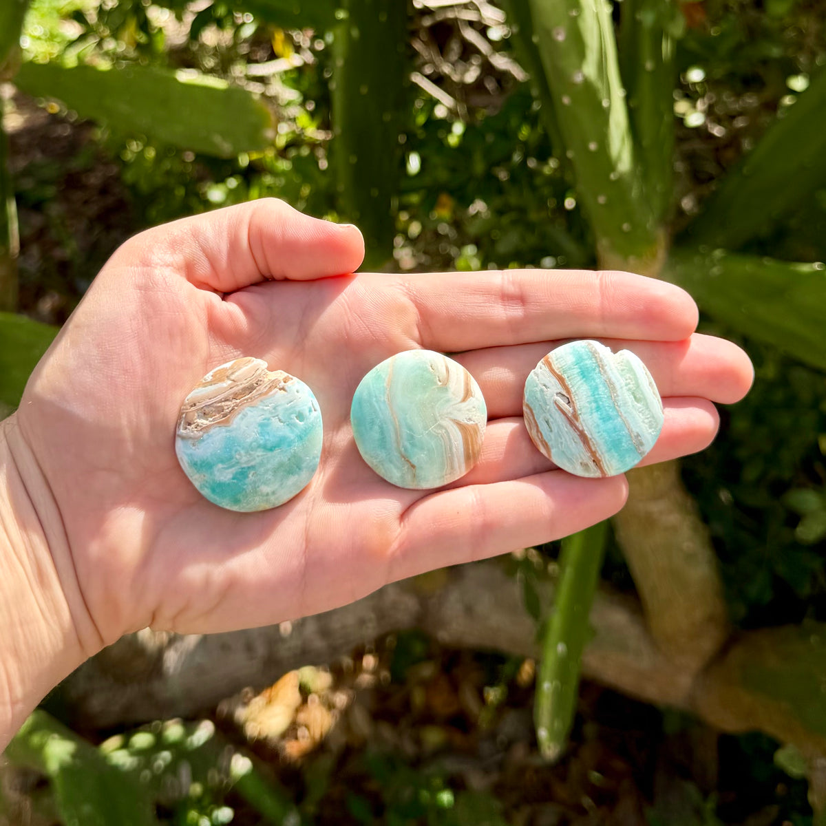 Caribbean Calcite Disc Intuitively Chosen
