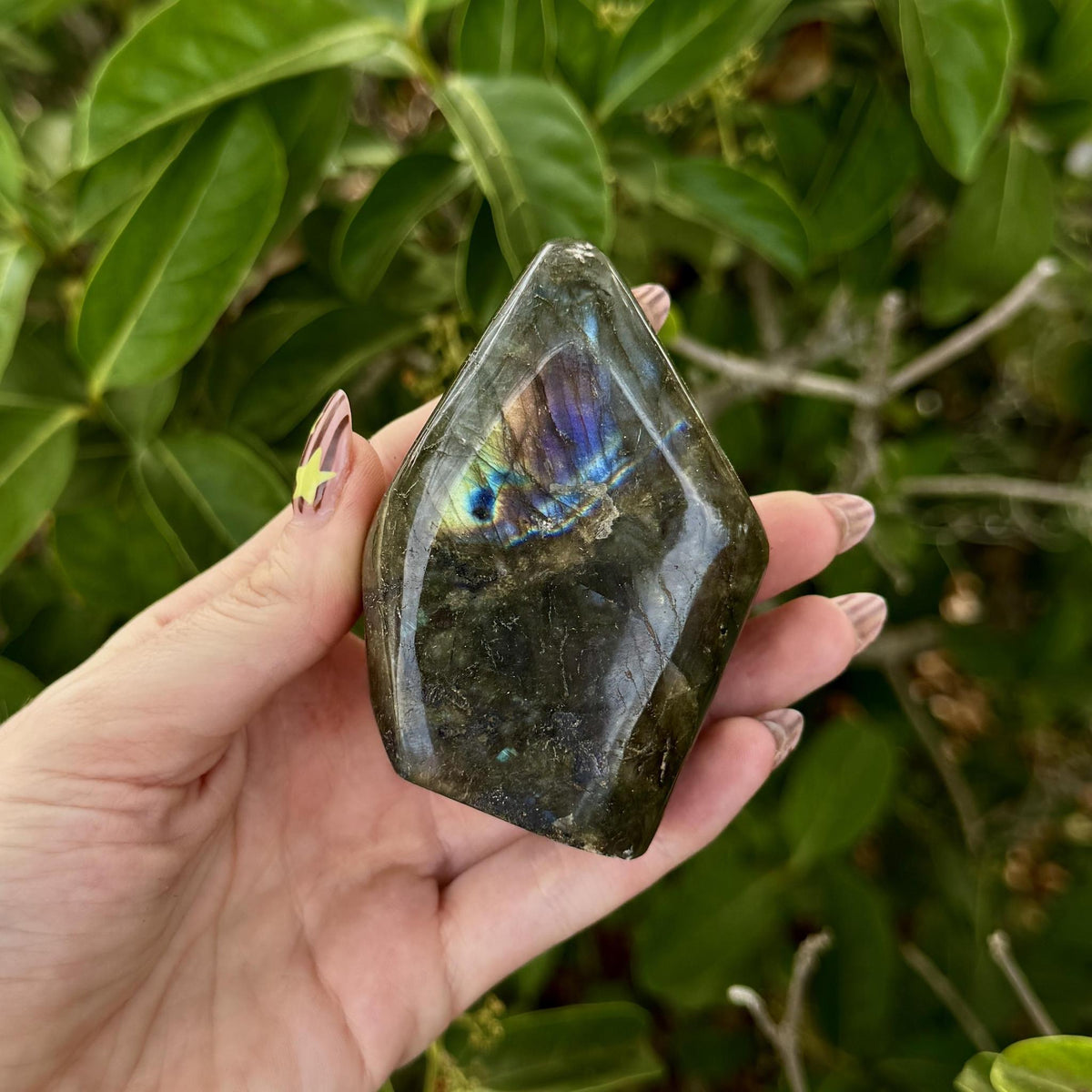 Labradorite Free Form