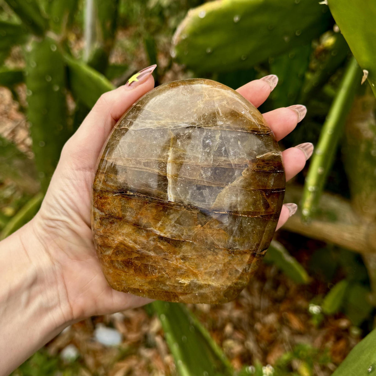 Golden Healer Quartz Free Form