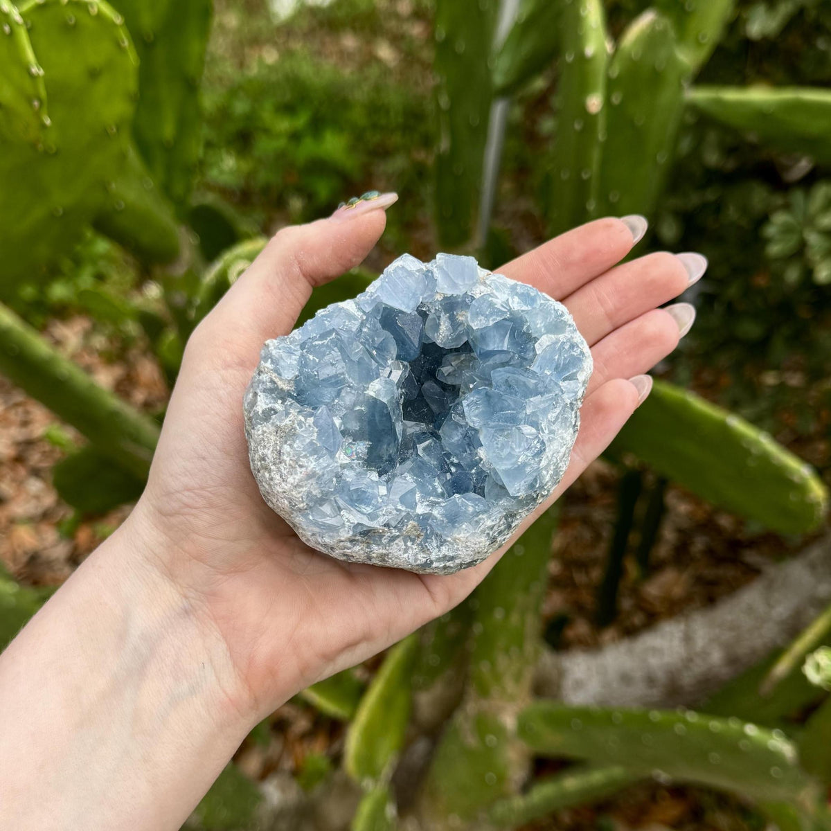 Celestite Chunk