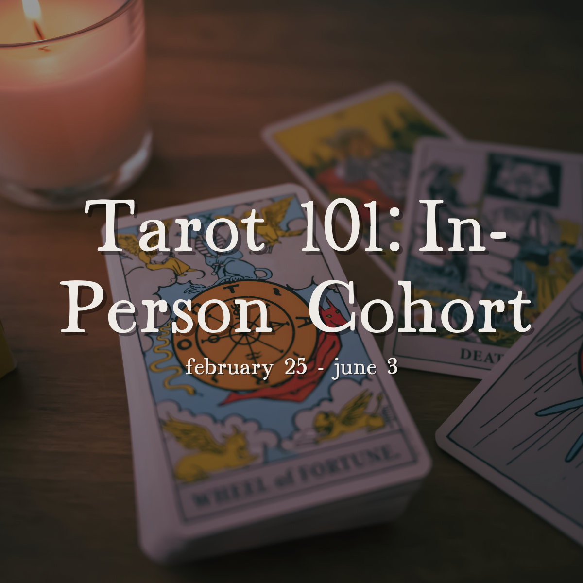 Tarot 101: The In-Person Cohort