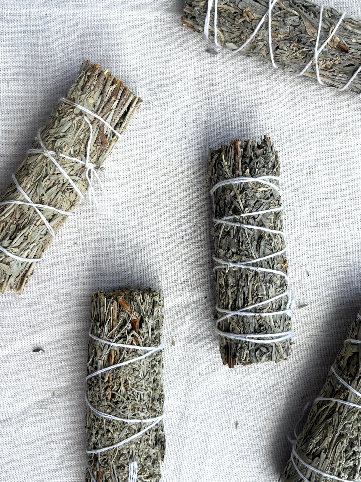 Blue Sage Bundle