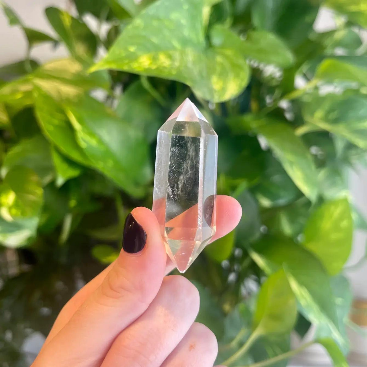 Clear Quartz Double Terminated Crystal Point Intuitively Chosen